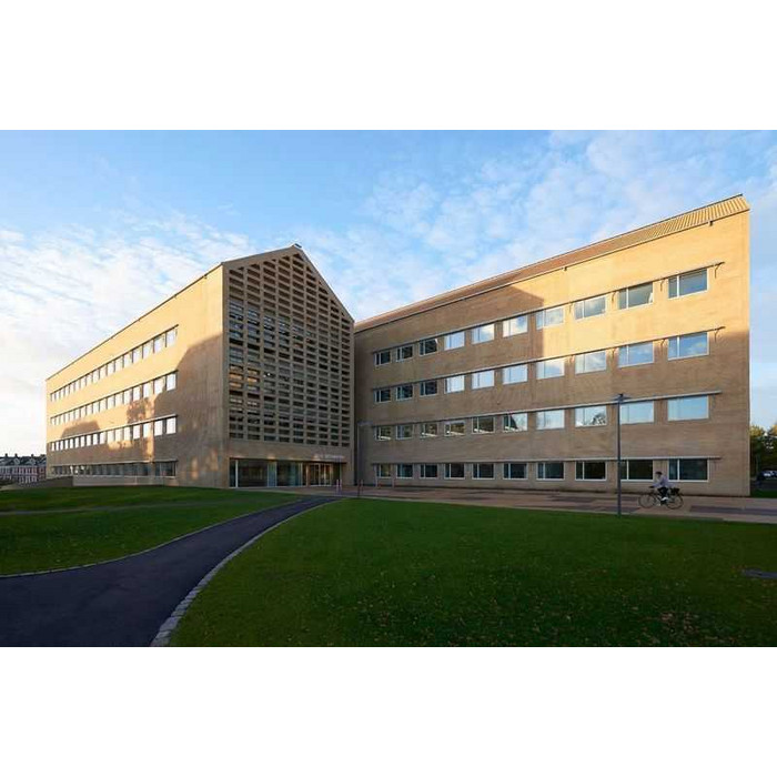 Кирпич облицовочный Randers Tegl Classica RT207, 215х102х65 мм фото 8