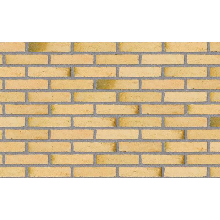 Кирпич облицовочный Randers Tegl Classica RT412, 228х108х54 мм