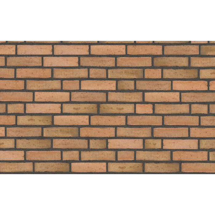 Кирпич облицовочный Randers Tegl Classica RT433, 250х120х65 мм