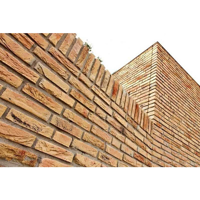 Кирпич облицовочный Muhr Nr 14, Borkum, 210х100х50 мм фото 5