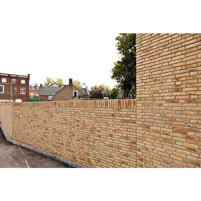 Кирпич облицовочный Muhr Nr 14, Borkum, 210х100х50 мм фото 3