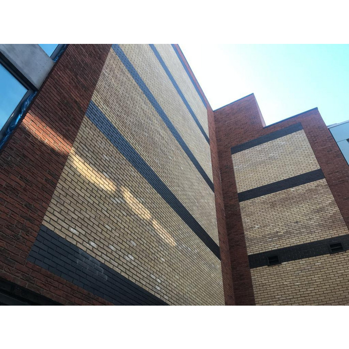 Кирпич S.Anselmo Superior Line Florence, Standart, 250х120х55 мм фото 10