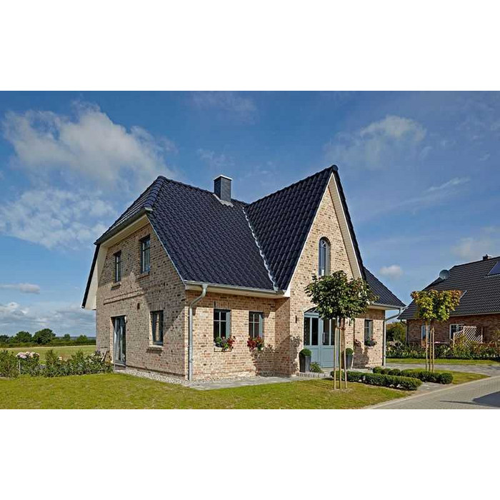 Кирпич облицовочный Muhr Nr 31, Alt Maasbrand, 210х100х50 мм фото 3