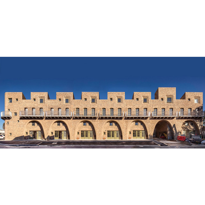 Кирпич S.Anselmo Superior Line Irlanda Bianco, Selmo, 250х120х55 мм фото 8