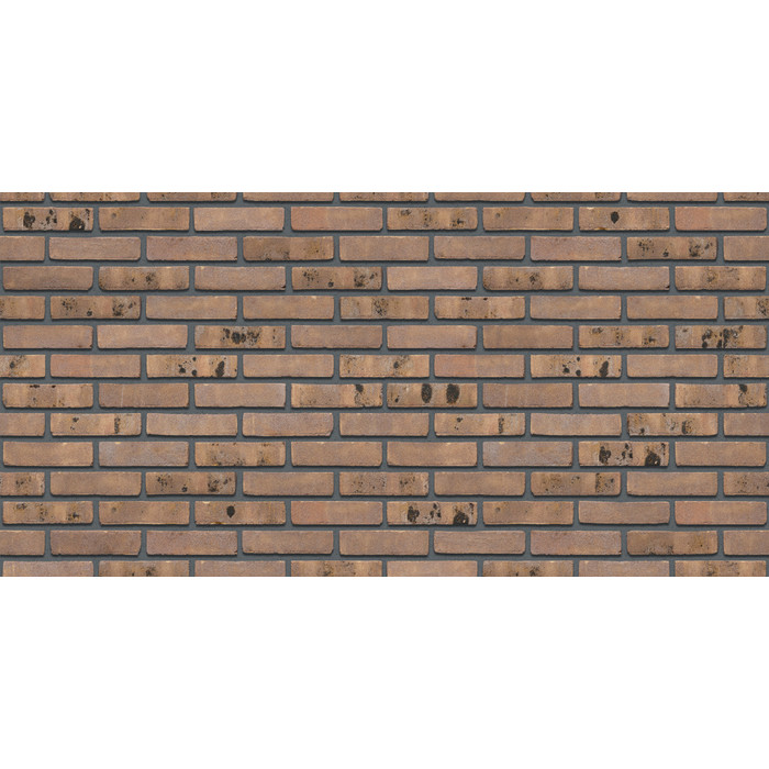 Кирпич S.Anselmo Superior Line Glazgo, Standart, 250х120х55 мм фото 5