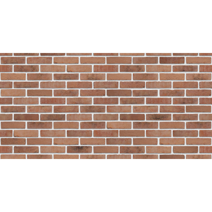 Кирпич S.Anselmo Superior Line Irlanda Bruciato, Selmo, 250х120х55 мм фото 3