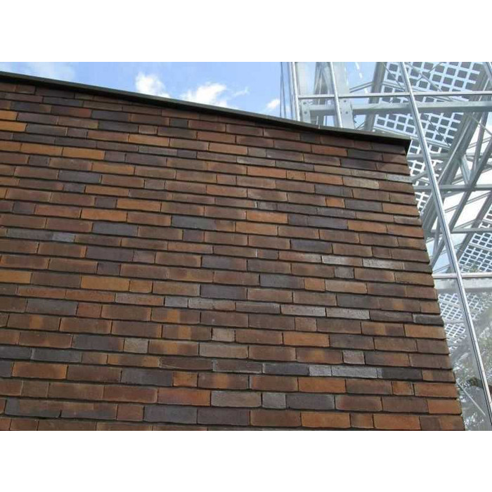 Кирпич облицовочный Terca Kogelbloem, 215х102х65 мм фото 4