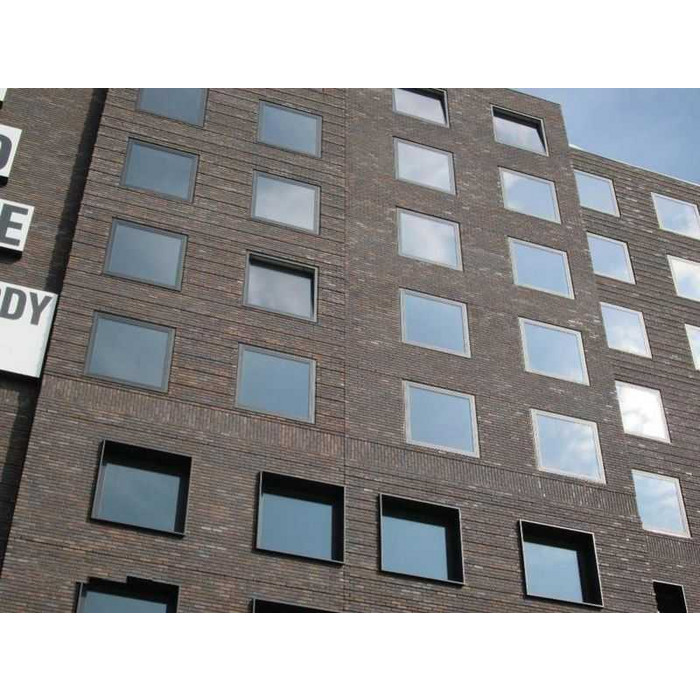 Кирпич облицовочный Terca Kogelbloem, 215х102х65 мм фото 8