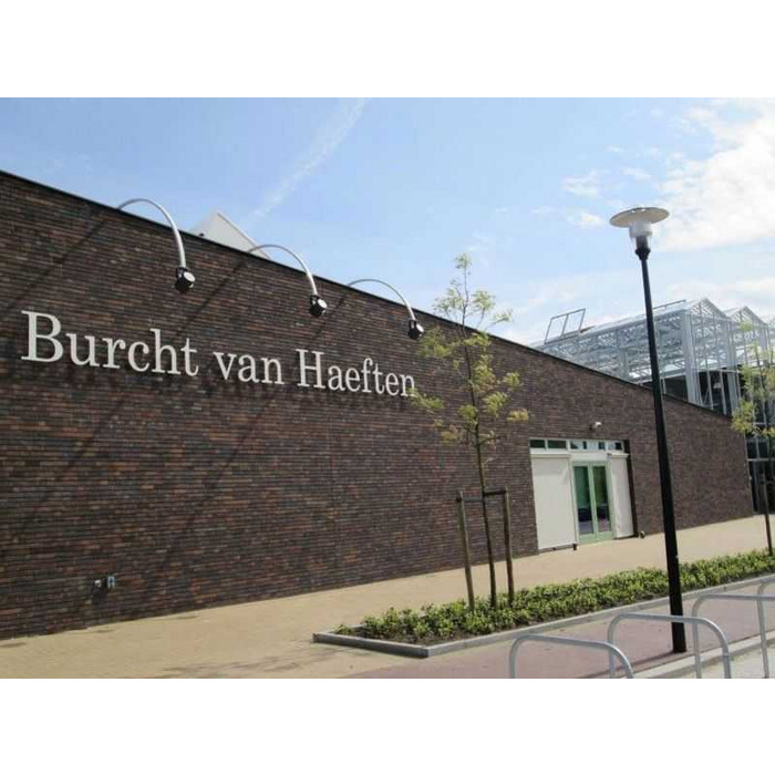 Кирпич облицовочный Terca Kogelbloem, 215х102х65 мм фото 3