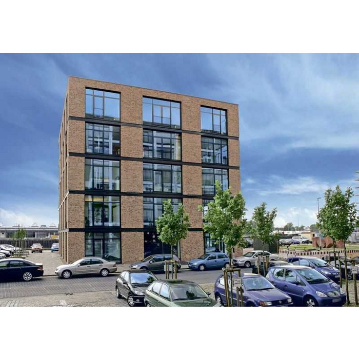 Кирпич облицовочный Roben Moorbrand lehm-bunt, 240х115х71 мм фото 5