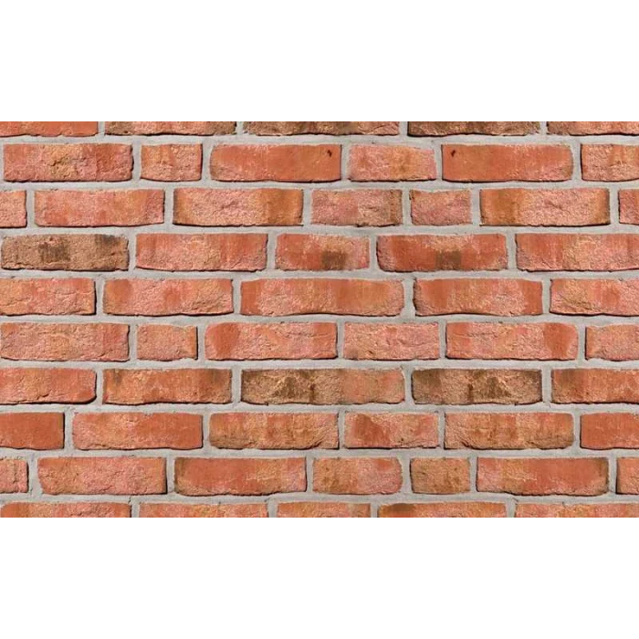 Кирпич облицовочный Roben Moorbrand lehm-bunt, 240х115х71 мм