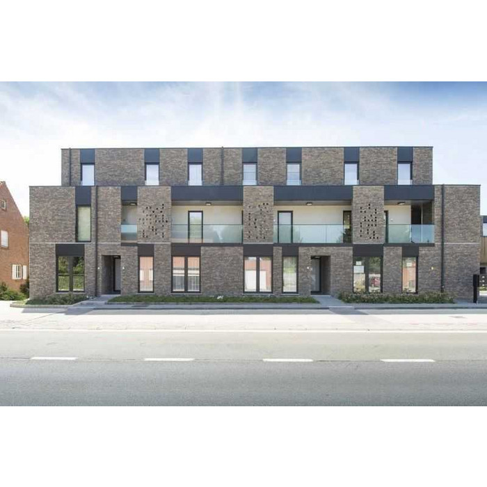 Кирпич облицовочный Nelissen CARMA, 215х100х65 мм фото 3