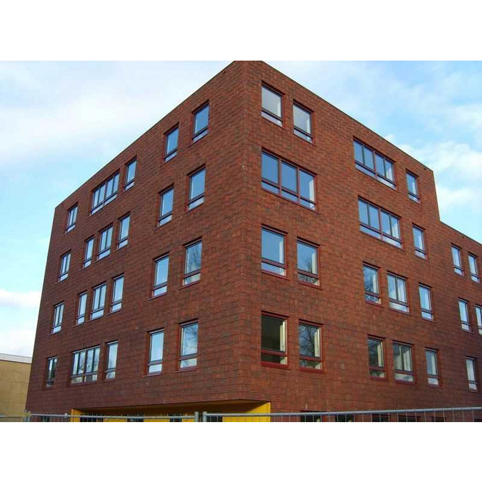 Кирпич облицовочный ENGELS Blauw paars antiek, 214х103х65 мм фото 3