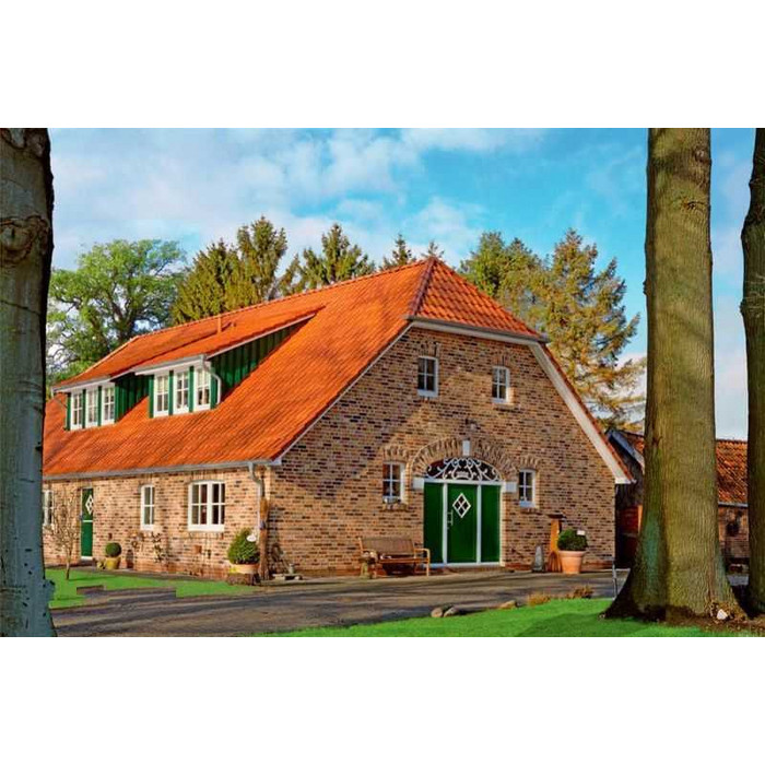 Кирпич облицовочный Roben Moorbrand torf-bunt, 240х115х71 мм фото 3