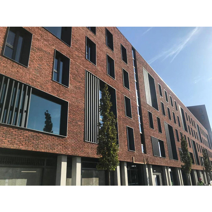 Кирпич S.Anselmo Superior Line Rosato Chiaro, Standart, 250х120х55 мм фото 8