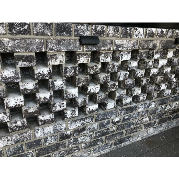 Кирпич S.Anselmo Smoked MHB, Selmo, 250х120х55 мм фото 6