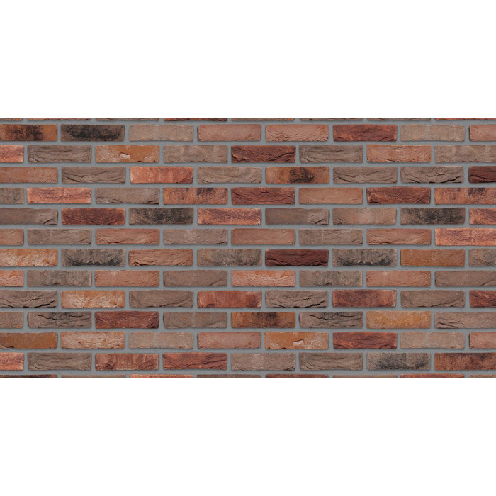 Кирпич S.Anselmo Custom blend ED, Selmo, 240х55х70 мм фото 4