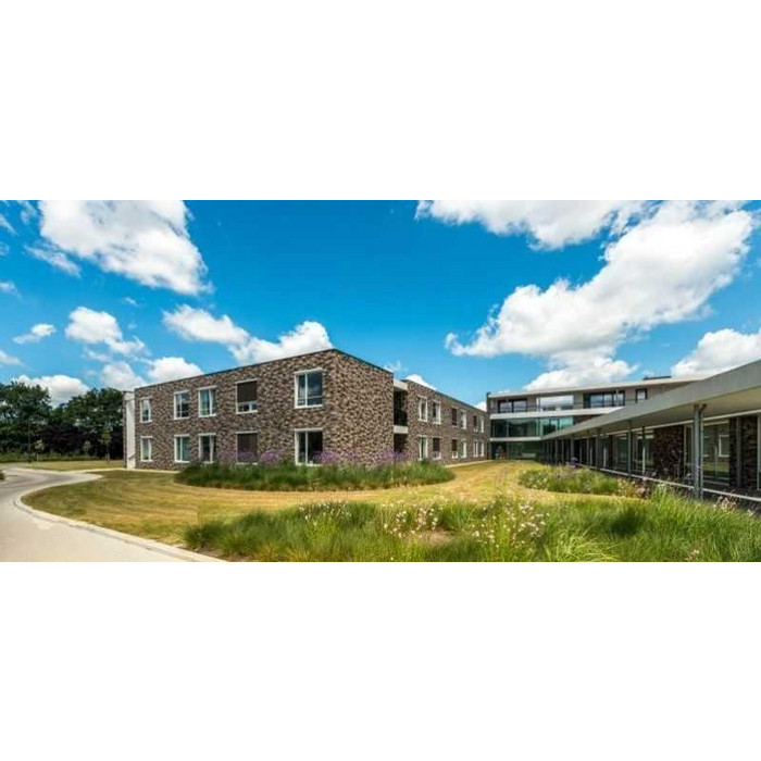 Кирпич облицовочный Terca Cromo Genuanceerd, 215х65х50 мм фото 7