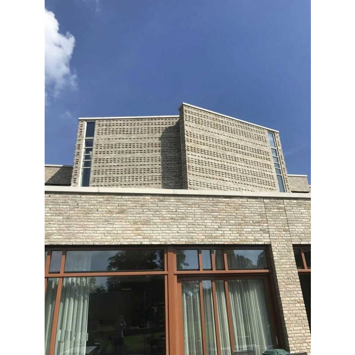 Кирпич облицовочный ENGELS Carthago, 214х103х66 мм фото 3