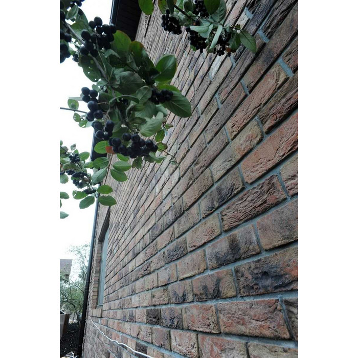 Кирпич Terca Agaat облицовочный полнотелый, 215х102х65 мм фото 10