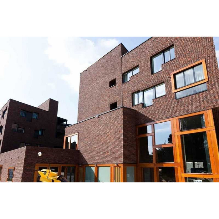 Кирпич облицовочный Muhr Nr 28, Netterden (Wenworth), 210х100х65 мм фото 2