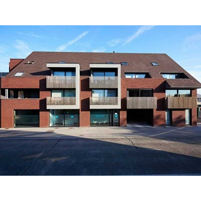 Кирпич облицовочный Terca Paars Iluzo, 238х88х48 мм фото 8