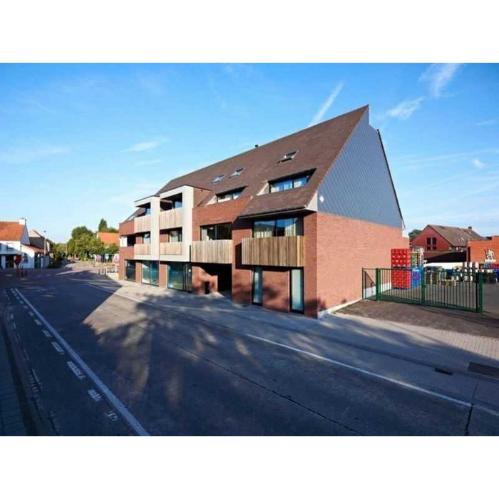 Кирпич облицовочный Terca Paars Iluzo, 238х88х48 мм фото 6