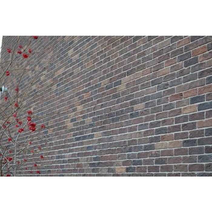 Кирпич облицовочный Донские зори Константиново, 215х102х65 мм фото 9