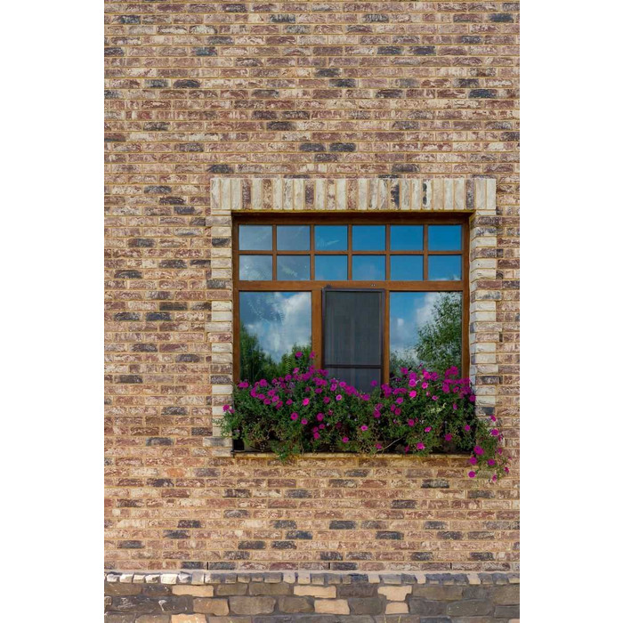 Кирпич облицовочный ENGELS Ohrid, 214х103х65 мм фото 4