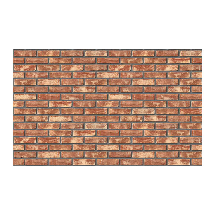 Кирпич S.Anselmo Superior Line Algeria, Selmo, 240х55х70 мм фото 3