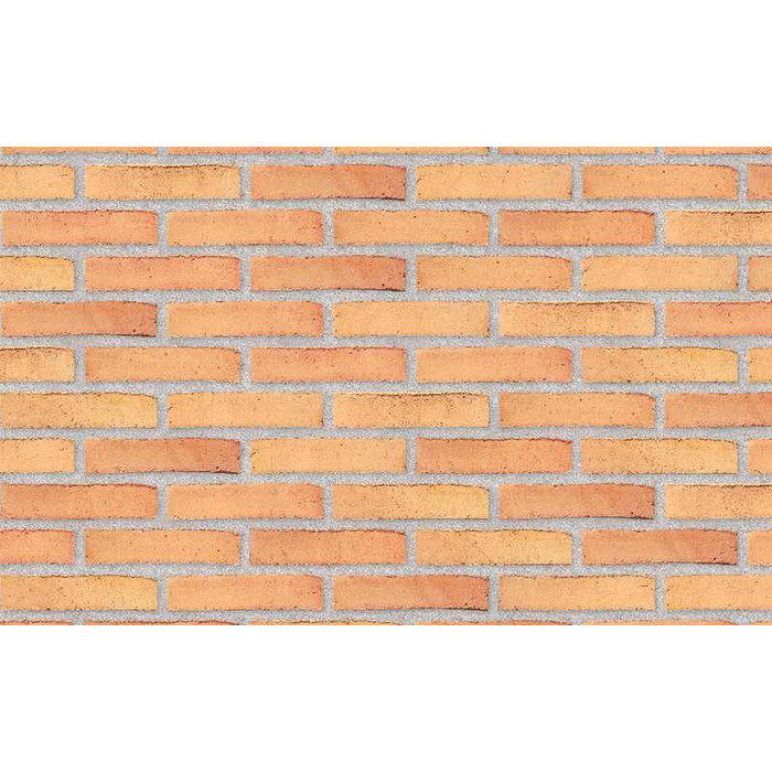 Кирпич облицовочный Randers Tegl Prima RT449, 228х108х54 мм