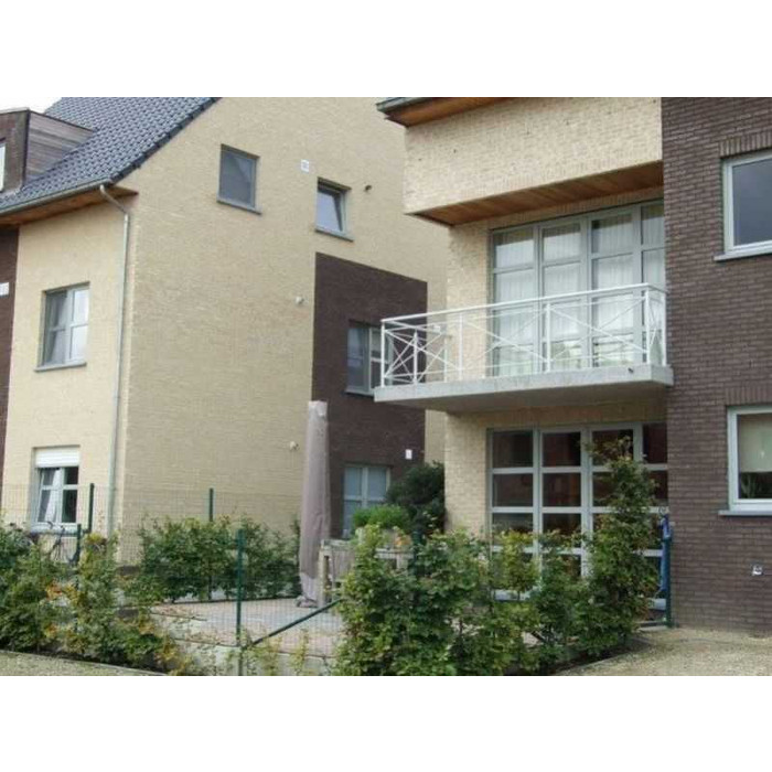 Кирпич облицовочный Terca Oakington Buff 215х102х65 мм фото 8