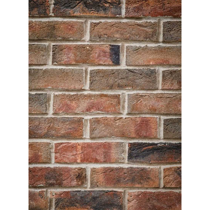 Кирпич облицовочный Terca Kashtan, 215х45-50х65 мм фото 4