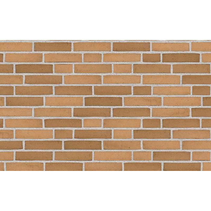 Кирпич облицовочный Randers Tegl Prima RT474, 228х108х54 мм