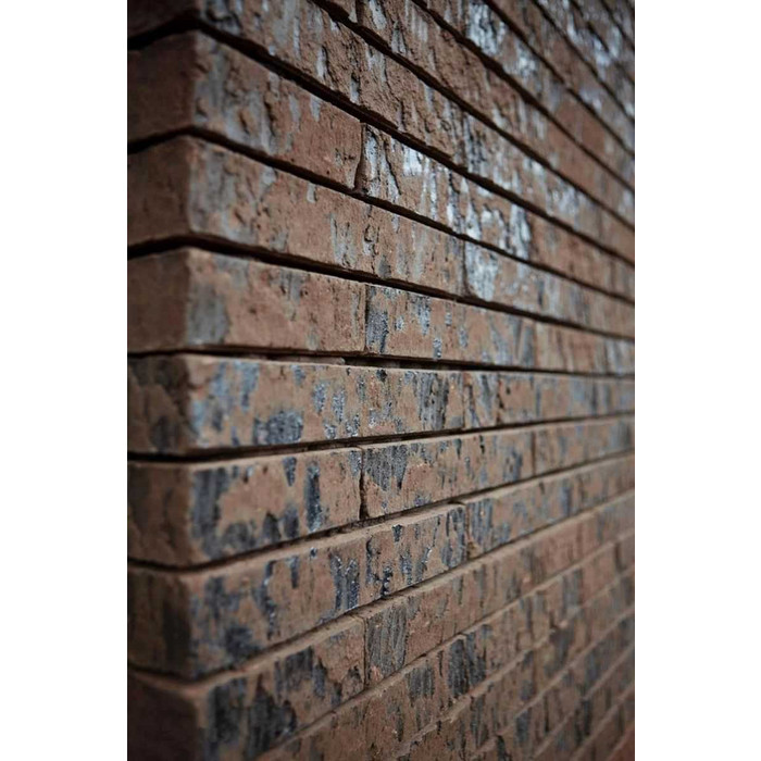 Кирпич облицовочный Terca Marono Bruin Extra E1, 288х88х48 мм фото 4