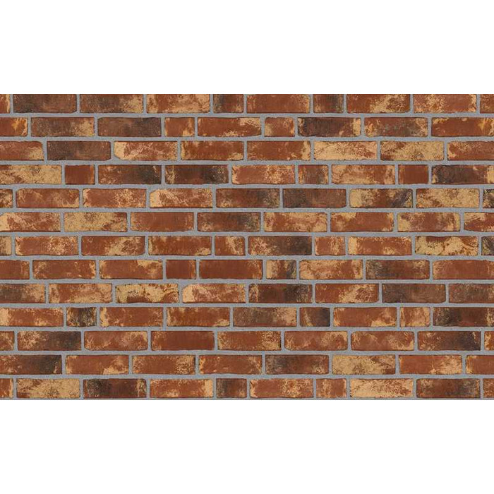 Кирпич облицовочный Randers Tegl Rustica RT453, 220х105х65 мм