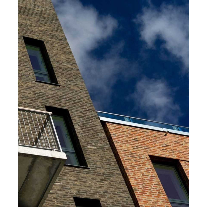 Кирпич облицовочный Randers Tegl Rustica RT453, 220х105х65 мм фото 9