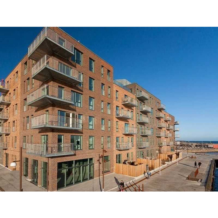 Кирпич облицовочный Randers Tegl Rustica RT453, 220х50х65 мм фото 3