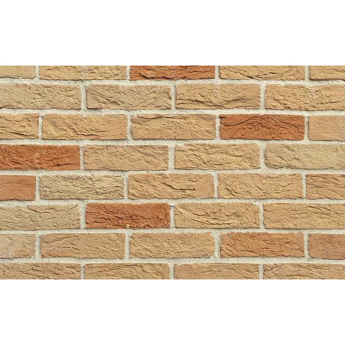 Кирпич облицовочный Донские зори Рождествено, 215х50х65 мм фото 2