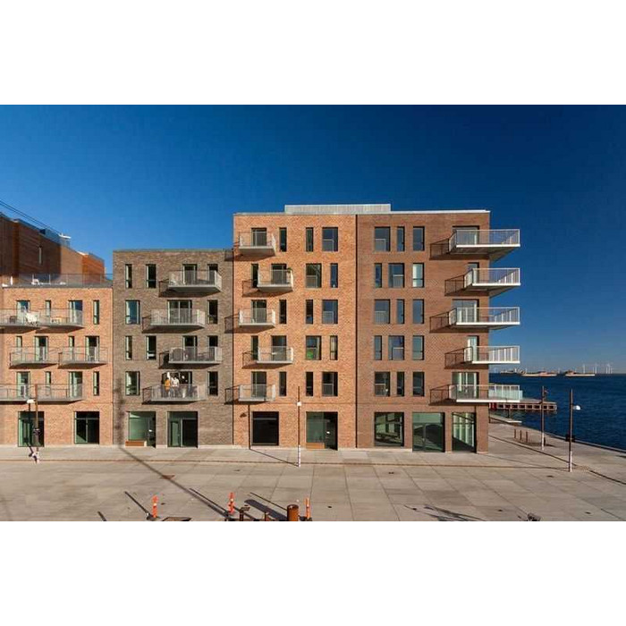 Кирпич облицовочный Randers Tegl Rustica RT445, 220х50х65 мм фото 4