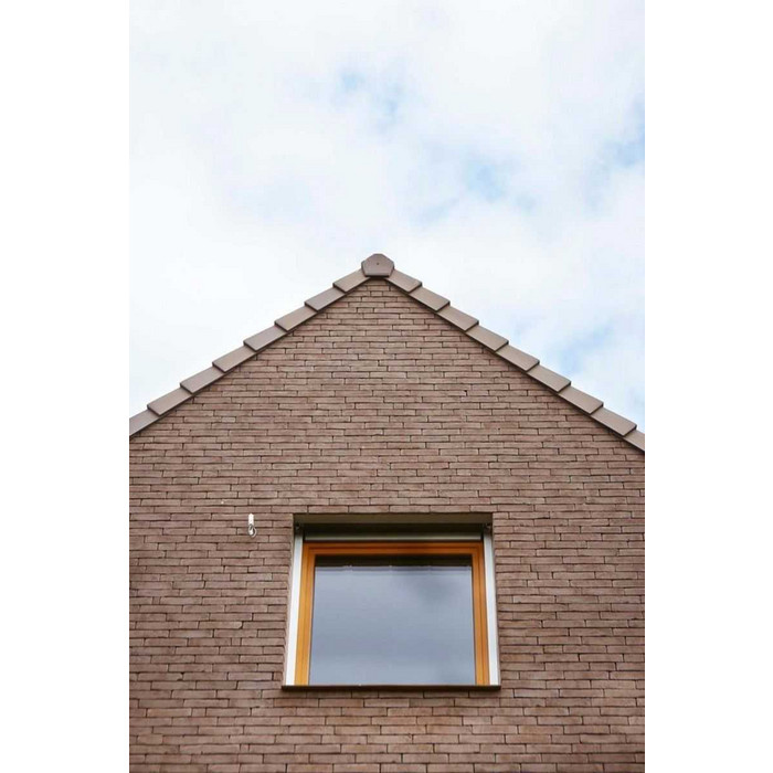 Кирпич облицовочный Terca Bruin Iluzo, 238х88х48 мм фото 8