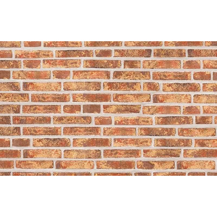 Кирпич облицовочный Randers Tegl Rustica RT452, 220х105х65 мм