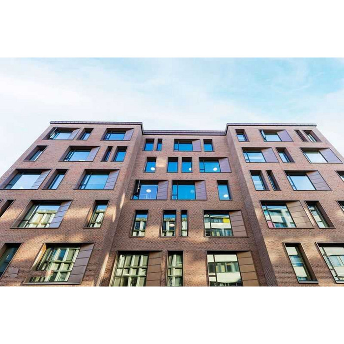 Кирпич облицовочный Randers Tegl Rustica RT445, 215х102х65 мм фото 3