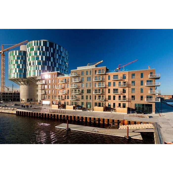 Кирпич облицовочный Randers Tegl Rustica RT445, 215х50х65 мм фото 7