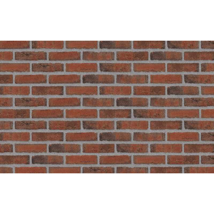 Кирпич облицовочный Randers Tegl Rustica RT445, 215х50х65 мм
