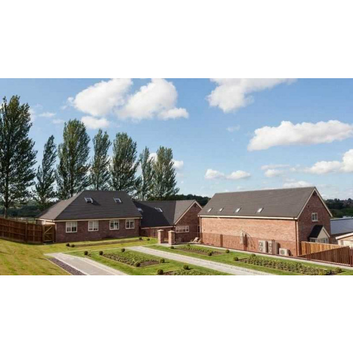 Кирпич облицовочный Terca Bourgondie, 215х102х65 мм фото 7