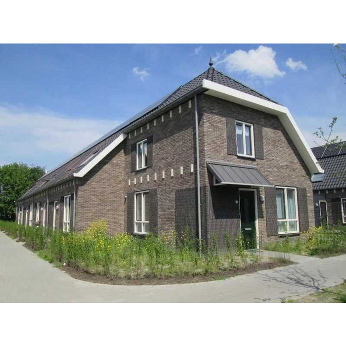 Кирпич облицовочный Terca Lapis, 210х100х50 мм фото 2