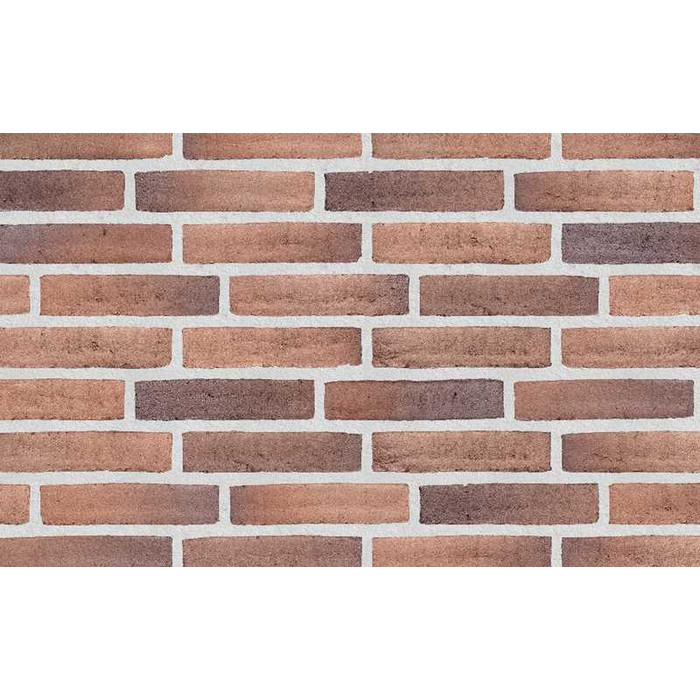 Кирпич облицовочный Randers Tegl Prima RT450, 228х108х54 мм
