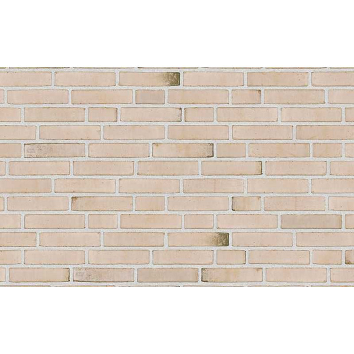 Кирпич облицовочный Randers Tegl Prima RT103, 228х108х54 мм