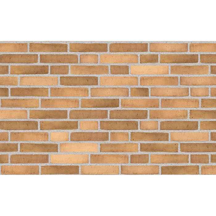 Кирпич облицовочный Randers Tegl Prima RT495, 228х108х54 мм